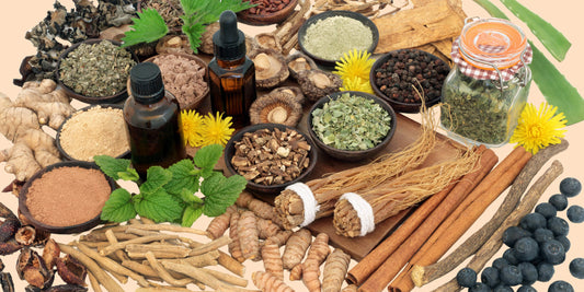 ¿Qué son los adaptógenos?