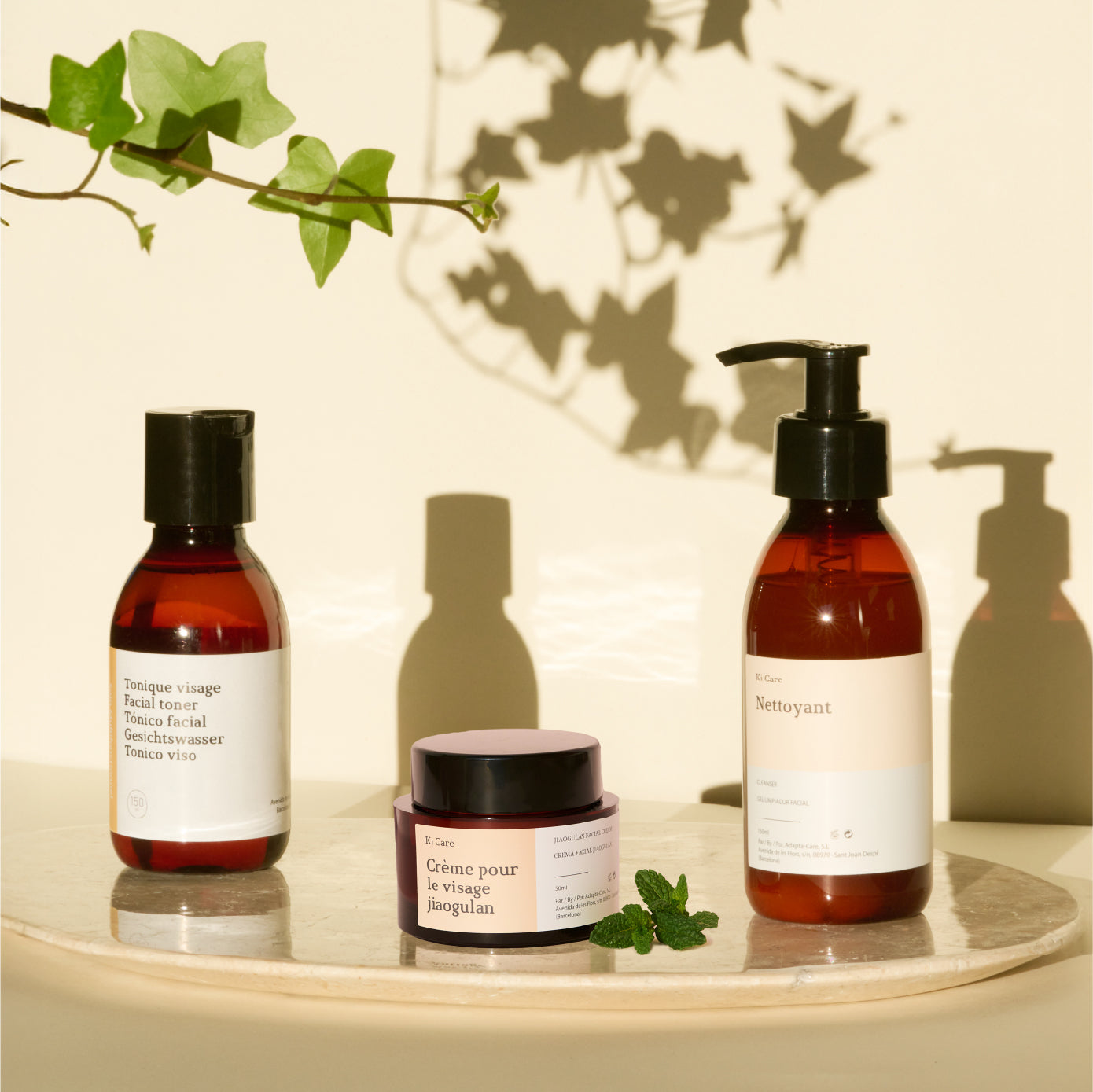 Caja Regalo Holistica: Rutina Facial Piel Joven, Limpieza y Humectacion con Jiaogulan y Reishi